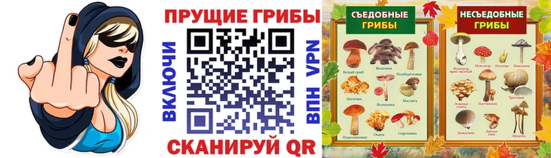 Галлюциногенные грибы Psilocybine cubensis  продажа наркотиков  Алапаевск 