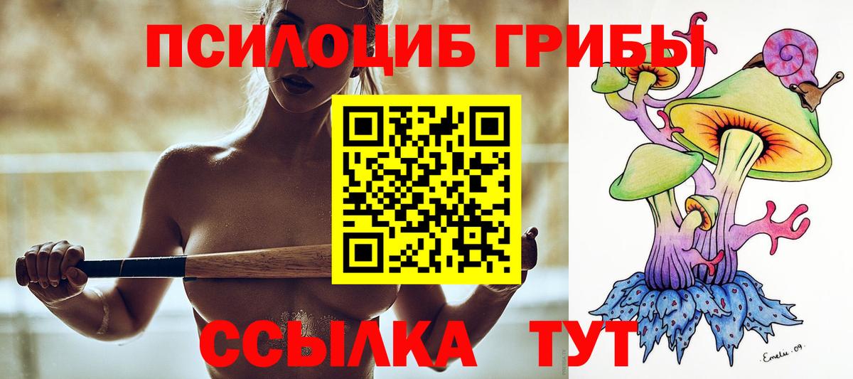 Алапаевск  Псилоцибиновые грибы мухоморы  Псилоцибиновые грибы Magic Shrooms  Вход с VPN 